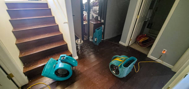 Best Flood restoration services  in Fayetteville, AR
