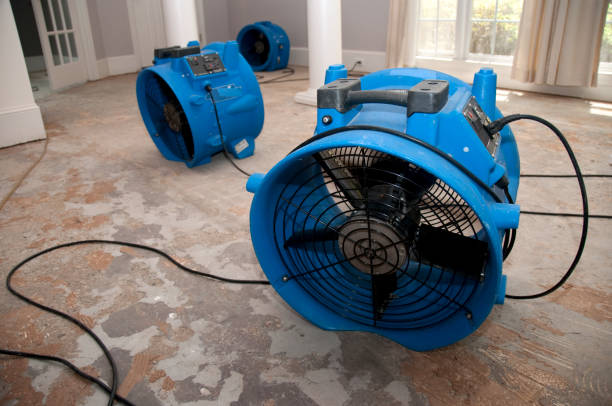 Best Flooded house restoration  in Fayetteville, AR